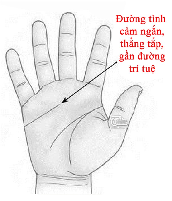 Bàn tay bộc lộ giác quan thứ 6 siêu nhạy