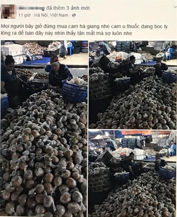 Cam hà giang, cam tuyên quang, cam sành hà giang, cách bảo quản cam, bảo quản theo cách truyền thống, bọc ni lông bảo quản cam