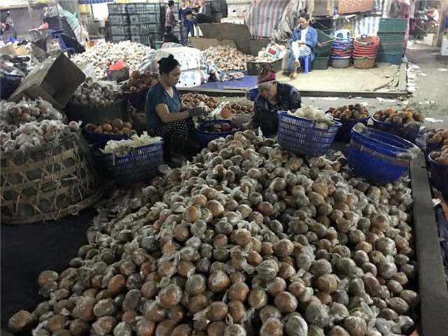 Cam hà giang, cam tuyên quang, cam sành hà giang, cách bảo quản cam, bảo quản theo cách truyền thống, bọc ni lông bảo quản cam