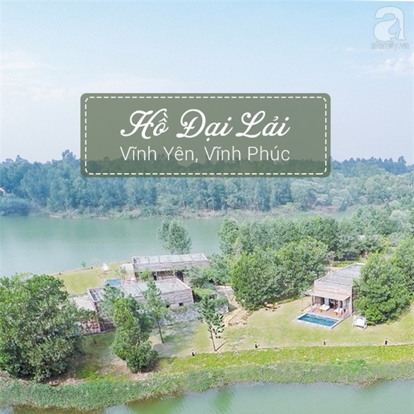 hồ đại lai
