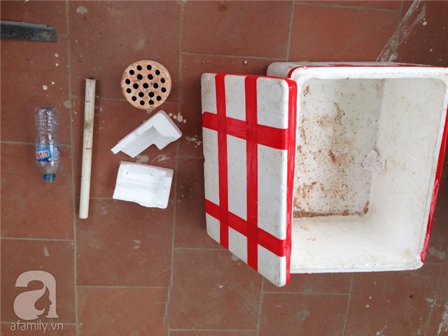 trồng rau, trồng rau ở ban công, trồng rau trên sân thượng, tự trồng rau ở nhà, trồng rau trong thùng xốp