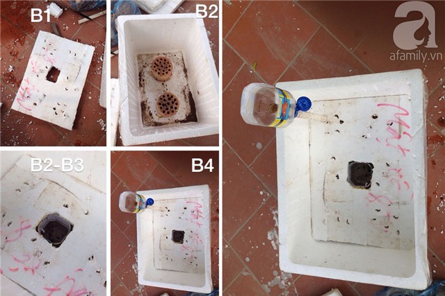trồng rau, trồng rau ở ban công, trồng rau trên sân thượng, tự trồng rau ở nhà, trồng rau trong thùng xốp