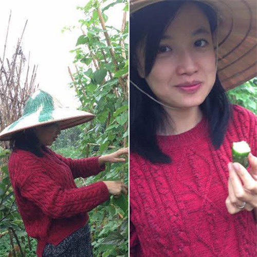 'tieu thu' giau co bo singapore ve viet nam ban rau sach vi bo bi benh - 1