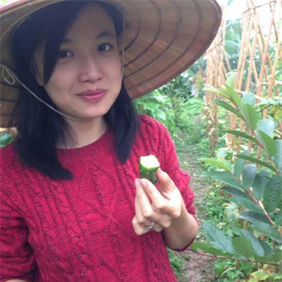 'tieu thu' giau co bo singapore ve viet nam ban rau sach vi bo bi benh - 6