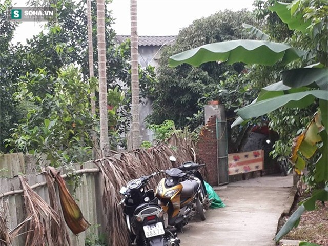 
Căn nhà vợ chồng chị Huế sinh sống nằm sâu trong con ngõ nhỏ, cây cối um tùm.
