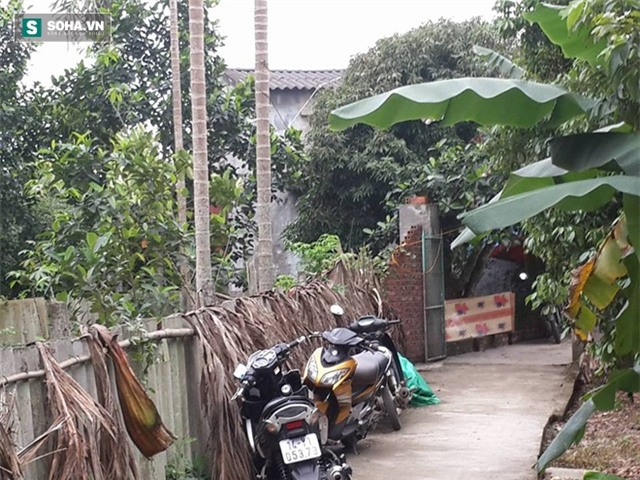 Căn nhà vợ chồng chị Huế sinh sống nằm sâu trong con ngõ nhỏ, cây cối um tùm.