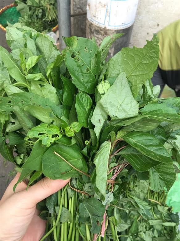 rau dại, mua rau dại, dân hà thành, bán rau dại, ăn rau dại, rau dại cứu đói