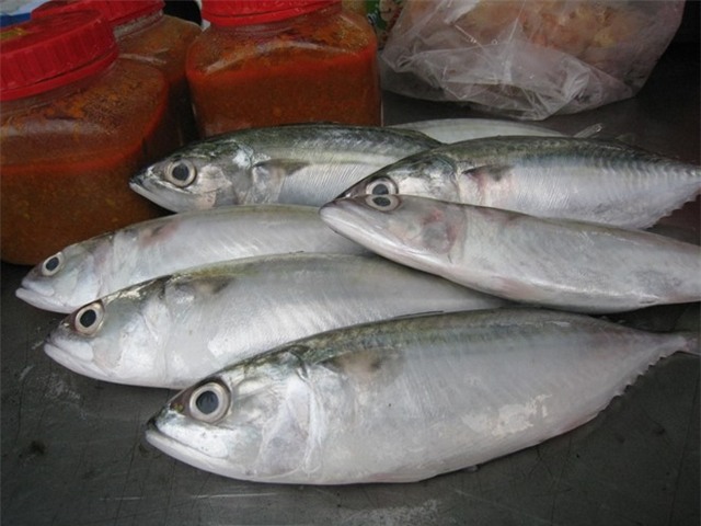 Nguyen tac chon ca bien an toan hinh anh 1