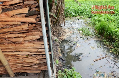 Chỉ cách vài ba mét là mương nước thải đầy uế phẩm giết mổ động vật.