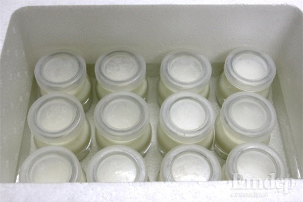 cách làm sữa chua, sữa chua hoa quả, món ngon, món ăn vặt