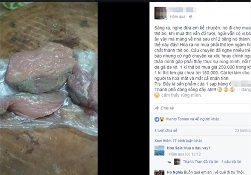 nội trợ, thịt bò giả