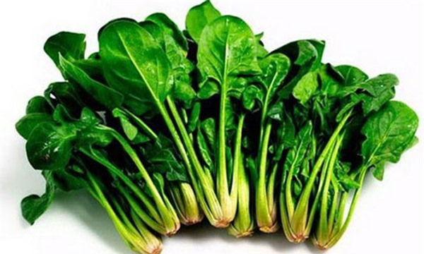 rau-cu-blogtamsuvn (2)