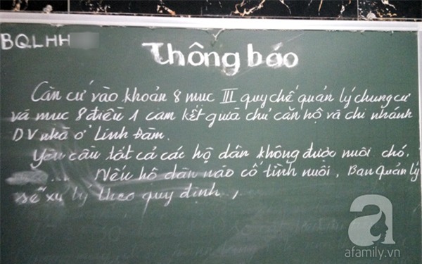 chung cư