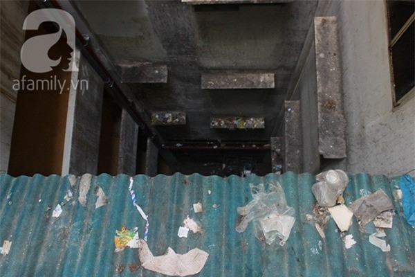 Vật lộn với nước, khổ sở với nạn nuôi nhốt chó, gà ở chung cư