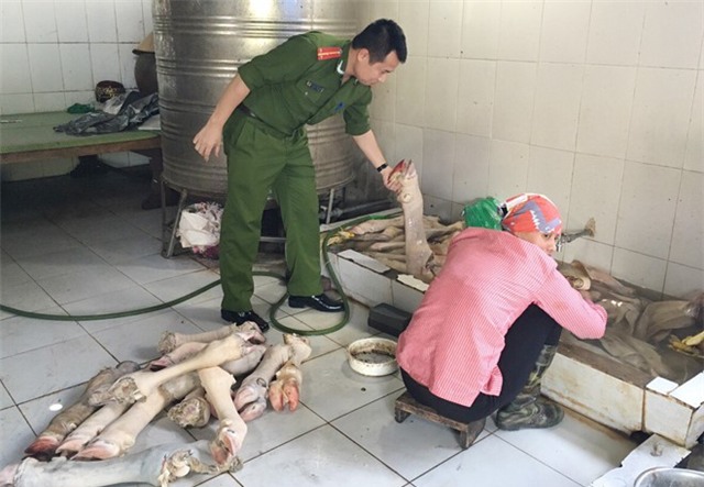 Vo bo hoi thoi luoc ban cho quan nhau hinh anh 3