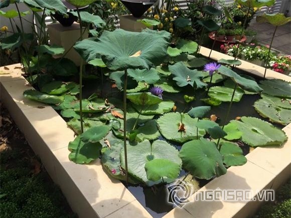 Gia đình Quyền Linh 26