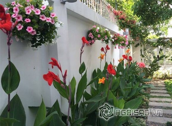 Gia đình Quyền Linh 7