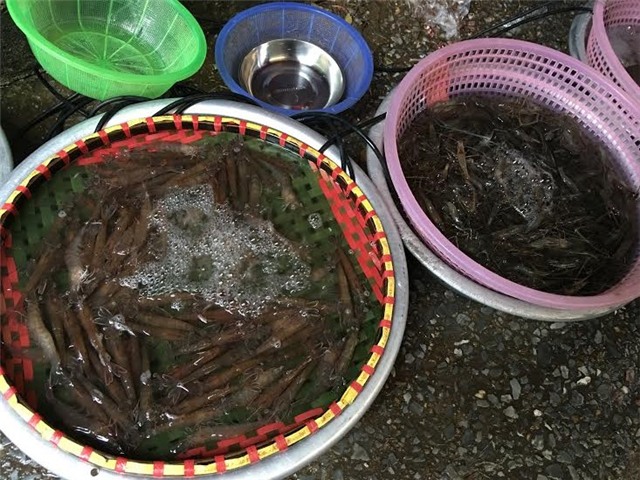 giá tôm tăng, giá tôm sú tăng cao kỷ lục, hạn mặn, giá hải sản, nguồn cung khan hiếm