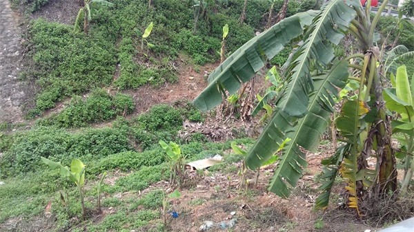 Vụ trọng án ở Hà Nội: Triệu tập nhiều đối tượng liên quan