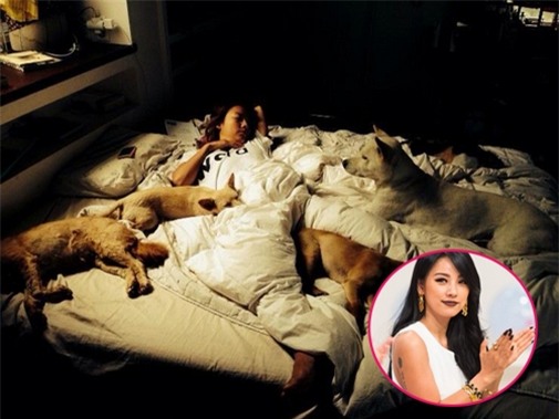 phong ngu cua sao blogtamsuvn (5)