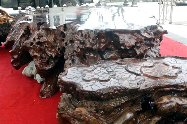 bộ bàn ghế gỗ lũa, gỗ gù hương, triển lãm sinh vật cảnh, ghế vua