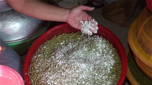 giá đỗ, hóa chất, độc hại, Bình Thuận, công an, thực phẩm bẩn