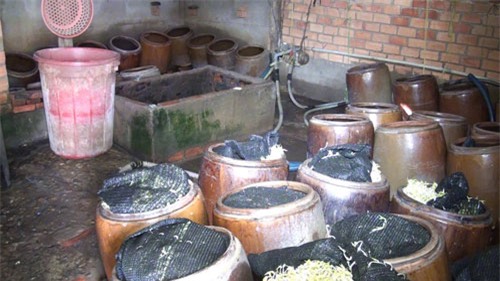 giá đỗ, hóa chất, độc hại, Bình Thuận, công an, thực phẩm bẩn