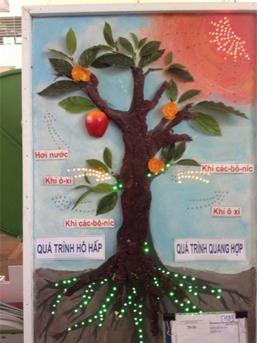 co giao kheo tay lam do dung day hoc tu xo muop, chai nhua - 3