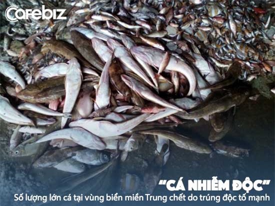 thực đơn bữa cơm, thực đơn ăn là chết, thực phẩm độc hại, kinh doanh thực phẩm bẩn, giò hàn the, cá nhiễm độc, tôm kháng sinh, lợn tạo nạc