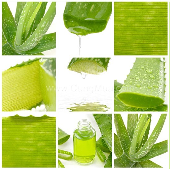 7 cach cham soc da khong lo chay nang mua di bien - 1