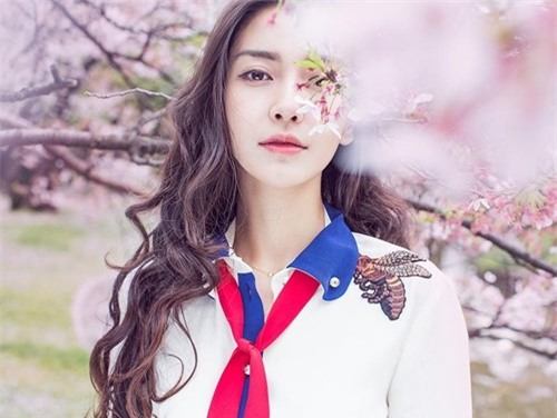 Angelababy xinh như thiên thần bên hoa anh đào - ảnh 5
