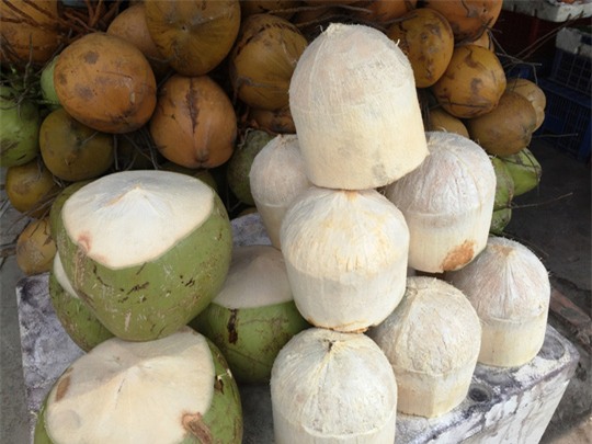
Những trái dừa trắng nõn có thể để 7 ngày không đen.
