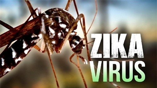 ba bau nhiem virus zika tai tp. hcm da cham dut thai ky - 1