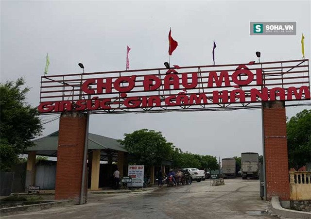 thịt lợn chết, đường dây buôn bán lợn chết, chợ đầu mối bán thịt lợn chết, thịt lợn bẩn, chợ hà nam