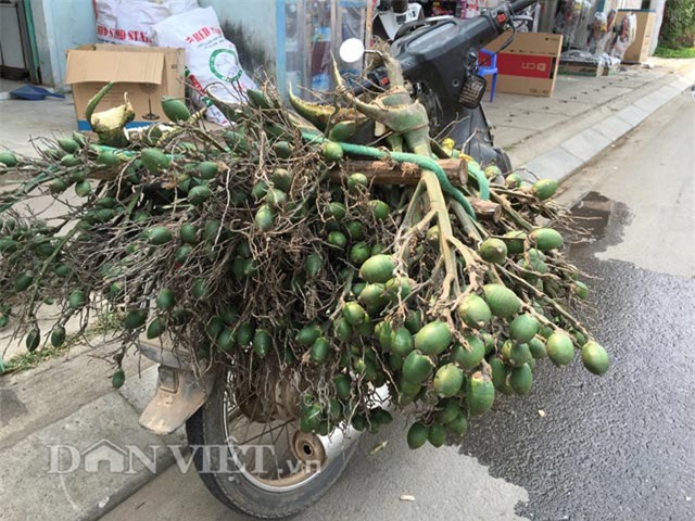 cau tuoi doi gia 30 lan, thuong lai nuom nuop lung mua hinh anh 5