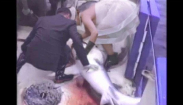 Sự thật tàn nhẫn phía sau những đám cưới sang trọng tại Hong Kong - Ảnh 4.