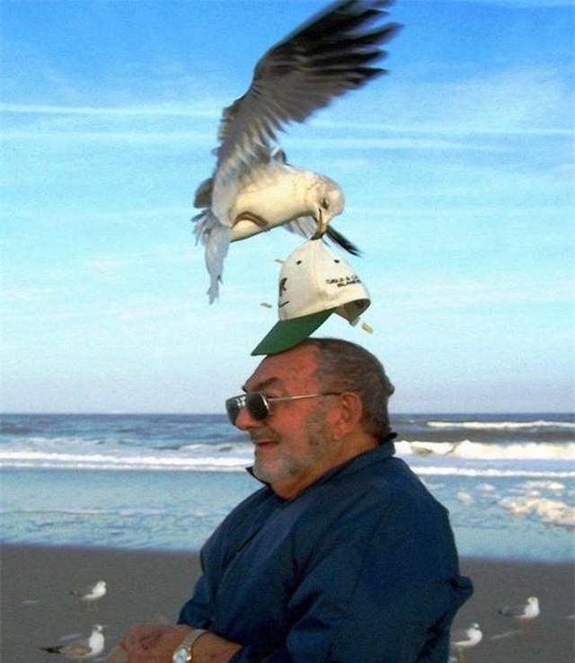 nhung hinh anh chi co the tim thay tren bai bien hinh anh 13