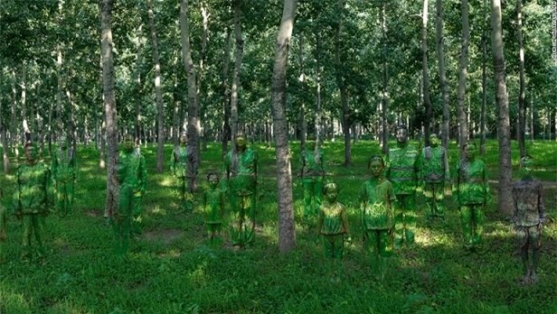 
Ẩn trong thành phố, Rừng (2013), trong bức ảnh này, Liu biến mất vào một rừng cây bạch dương, bạn có thể nhận ra anh ấy không?

