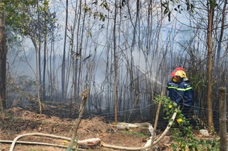 Công tác chữa cháy kéo dài hơn 1 giờ.