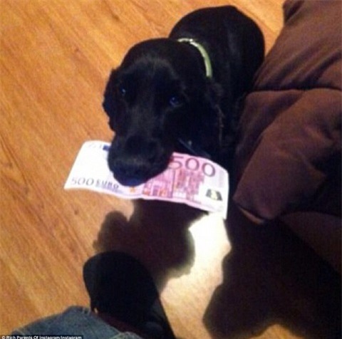 giàu có, phụ huynh, con cái, xa xỉ, sang trọng, khoe tiền tỷ, khoe siêu xe, mạng xã hội