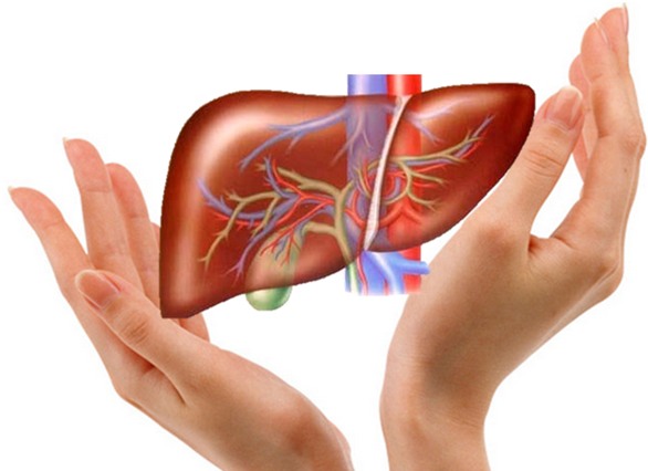 Nắm bắt thời cơ chuyển mùa để nuôi gan, bổ mắt chính là cách nâng cao sức khỏe của Trung Y. (Ảnh minh họa).