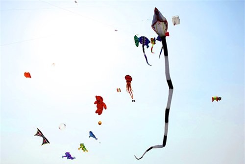 can canh dieu ran dai tram met tren bau troi thu do hinh anh 10