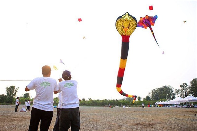 can canh dieu ran dai tram met tren bau troi thu do hinh anh 13