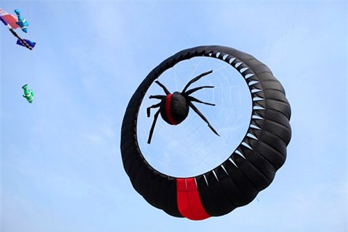 can canh dieu ran dai tram met tren bau troi thu do hinh anh 8