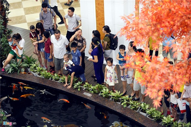 Dong nghit nguoi don ve khu mua sam duoi long dat hinh anh 12