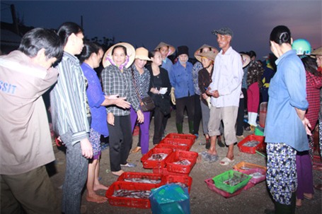 Ngay từ sáng sớm ngày 1/5, cảng cá Cửa Sót, xã Thạch KIm, Hà Tĩnh đã nhộn nhịp như thường lệ.