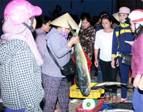 Lộc biển tươi sống được các mối buôn tranh nhau mua.