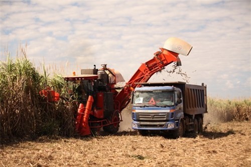 Đầu tư vào nông nghiệp từ năm 2008, chỉ riêng mía đường, bầu Đức đã đầu tư khoảng 90 triệu USD (hơn 1.800 tỷ đồng).