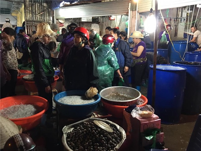 dân buôn cá, nỗi khổ của dân buôn cá, thu nhập 100 triệu/tháng, chợ đầu mối, dân buôn cá, trời không mưa cũng mặc áo mưa