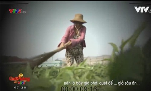 dung choi quet de gia rau bi sau lua nguoi tieu dung - 2